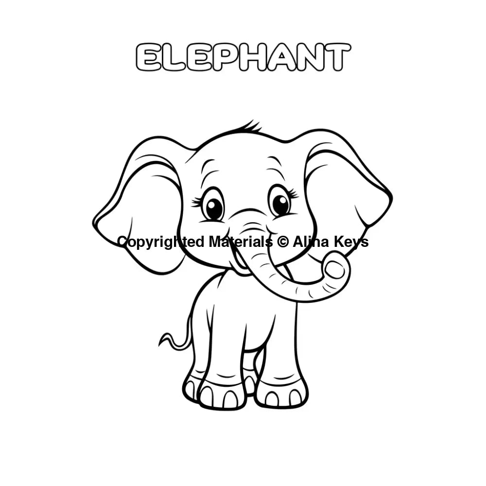 Elephant Coloring Page for Kids