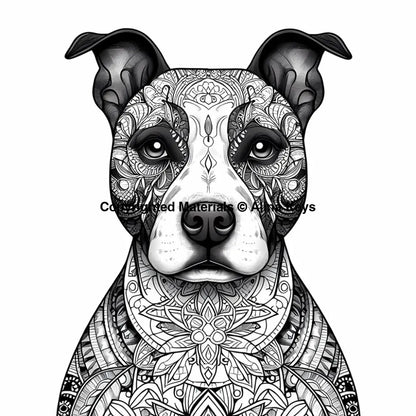 intricate pattern american pit bull terrier dog coloring page